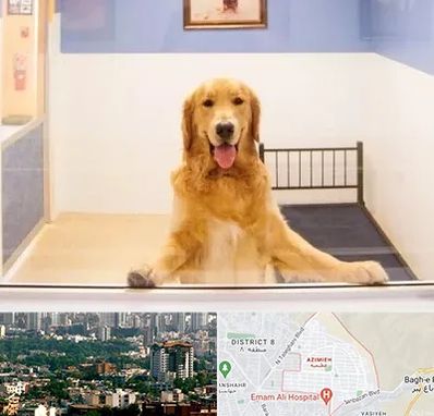 پانسیون حیوان خانگی در عظیمیه کرج 