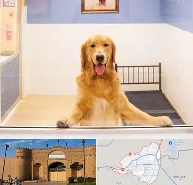 پانسیون حیوان خانگی در ایرانشهر