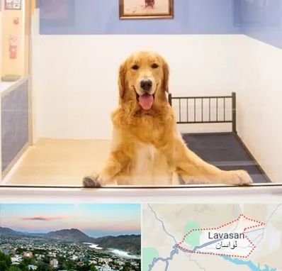 پانسیون حیوان خانگی در لواسان