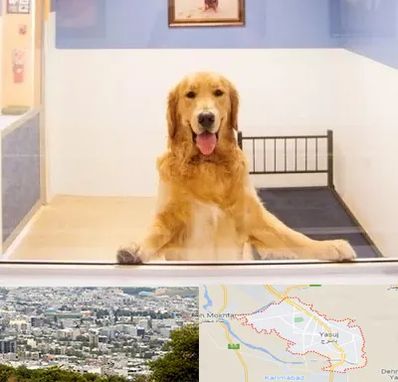 پانسیون حیوان خانگی در یاسوج