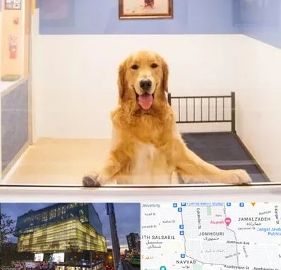 پانسیون حیوان خانگی در جمهوری 