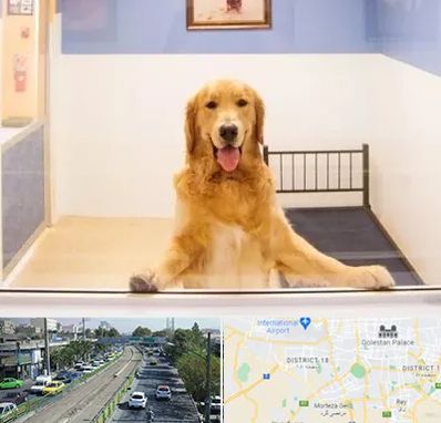 پانسیون حیوان خانگی در جنوب تهران 