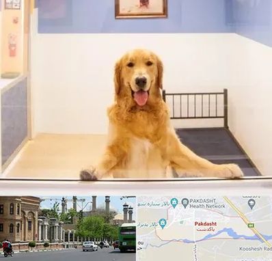 پانسیون حیوان خانگی در پاکدشت