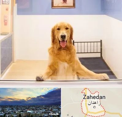 پانسیون حیوان خانگی در زاهدان
