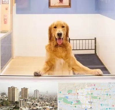 پانسیون حیوان خانگی در منطقه 5 تهران 