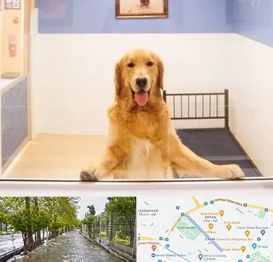 پانسیون حیوان خانگی در خیابان ارم شیراز