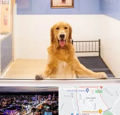 پانسیون حیوان خانگی در گلسار رشت 