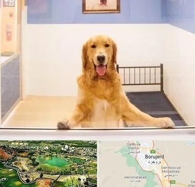 پانسیون حیوان خانگی در بروجرد