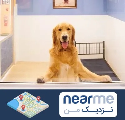 پانسیون حیوان خانگی در نزدیک من