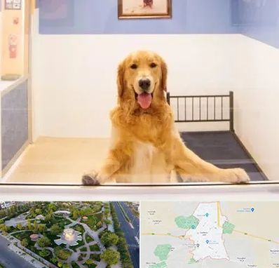 پانسیون حیوان خانگی در کاشمر