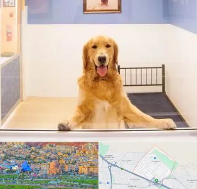 پانسیون حیوان خانگی در رشدیه تبریز