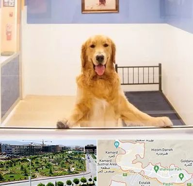 پانسیون حیوان خانگی در پردیس