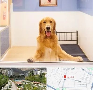 پانسیون حیوان خانگی در بلوار تعاون