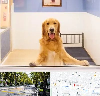 پانسیون حیوان خانگی در میرداماد 