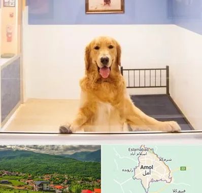پانسیون حیوان خانگی در آمل