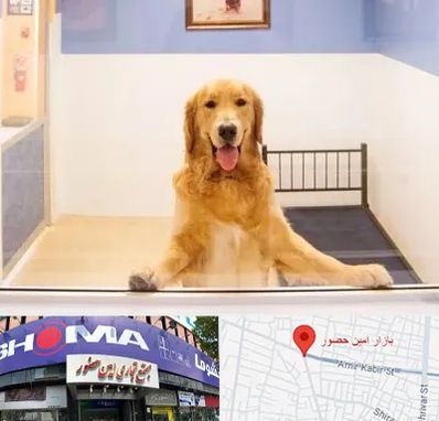 پانسیون حیوان خانگی در امین حضور