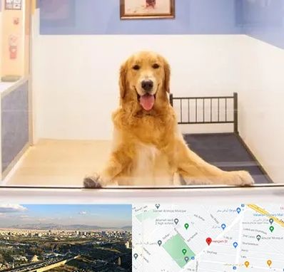 پانسیون حیوان خانگی در هنگام 