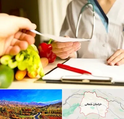 دکتر لاغری در خراسان شمالی