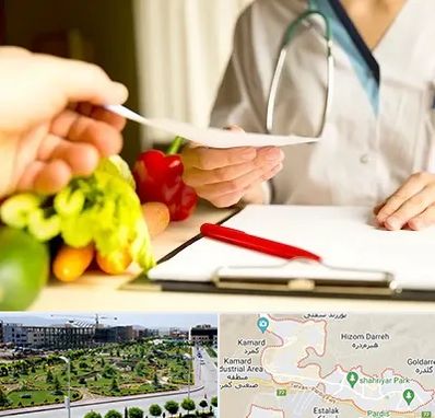 دکتر لاغری در پردیس