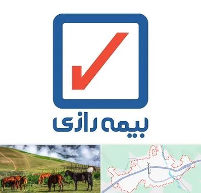 بیمه رازی در تالش
