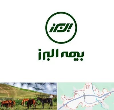 بیمه البرز در تالش