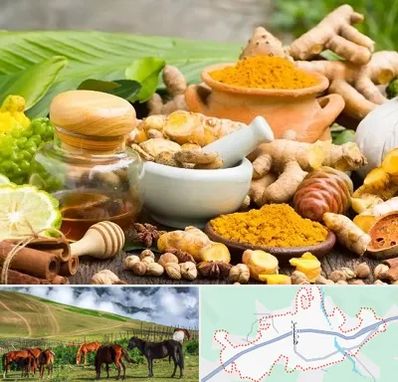 عطاری در تالش