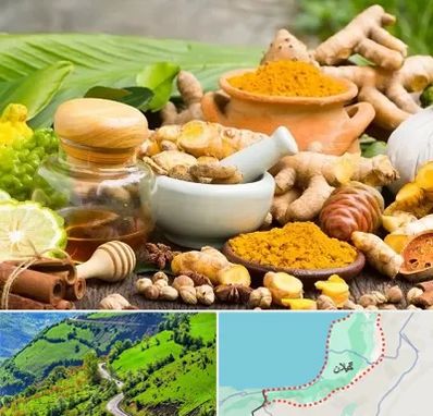 عطاری در گیلان