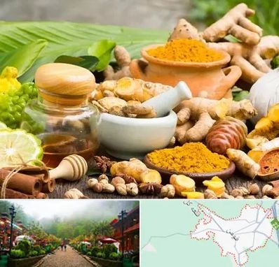 عطاری در فومن