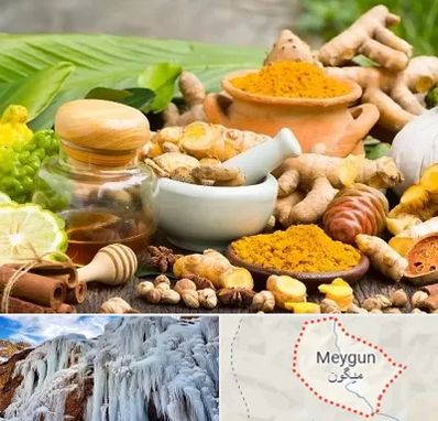 عطاری در میگون