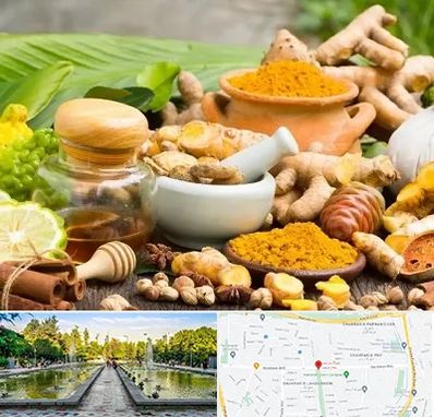 عطاری در سرسبز 