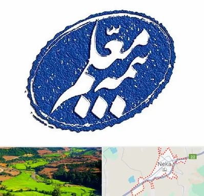 بیمه معلم در نکا