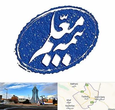 بیمه معلم در تایباد
