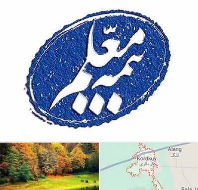 بیمه معلم در کردکوی
