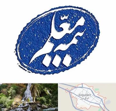 بیمه معلم در الیگودرز