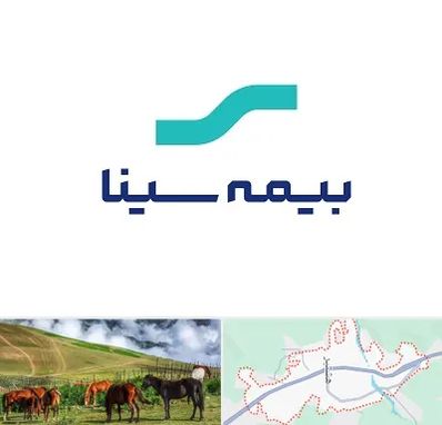 بیمه سینا در تالش