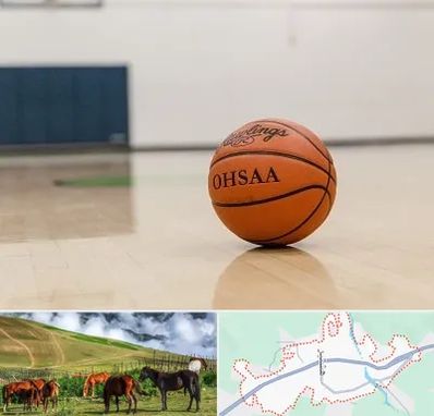 باشگاه بسکتبال در تالش