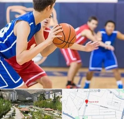 آموزشگاه بسکتبال در بلوار تعاون