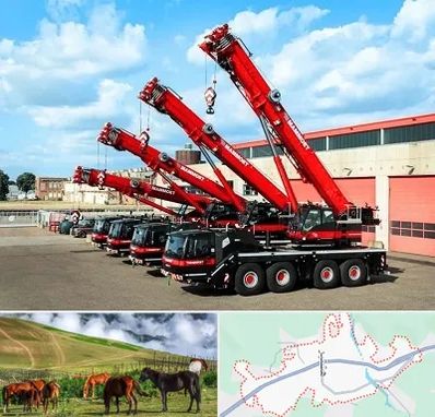 جرثقیل در تالش