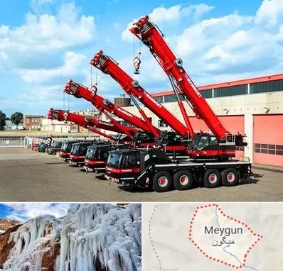 جرثقیل در میگون