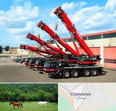 جرثقیل در چمستان