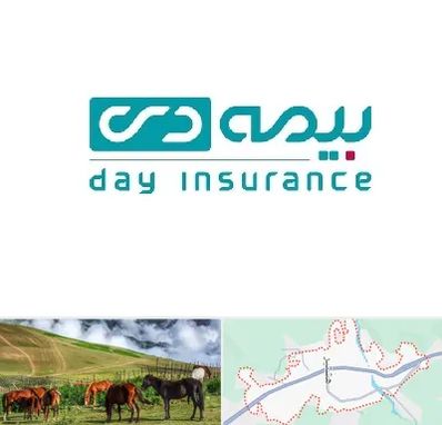 بیمه دی در تالش