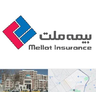 بیمه ملت در طلاب مشهد