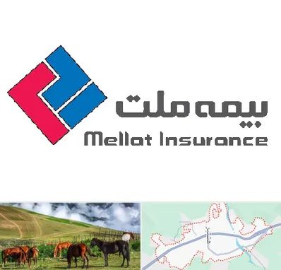 بیمه ملت در تالش