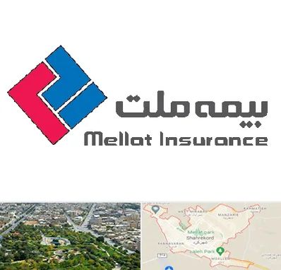 بیمه ملت در شهرکرد