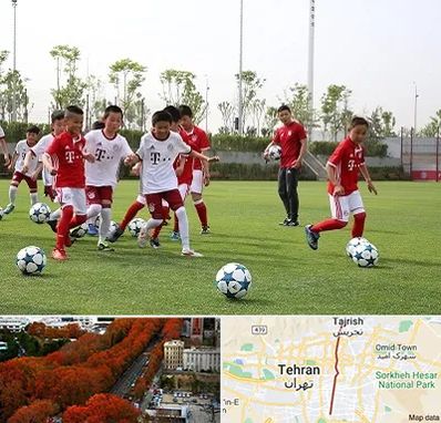 مدرسه فوتبال کودکان در ولیعصر
