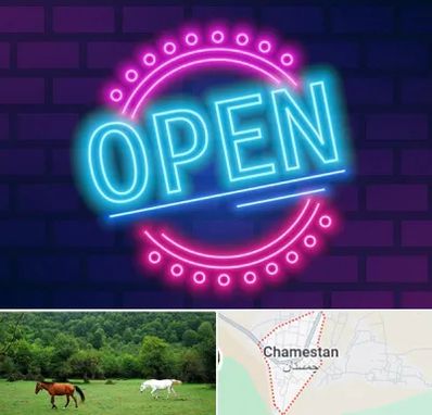 تابلو نئون در چمستان