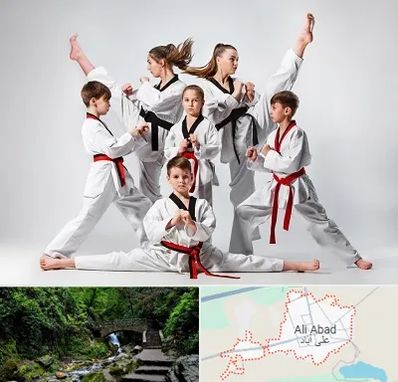 باشگاه کاراته در علی آباد کتول