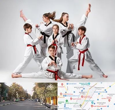 باشگاه کاراته در شریعتی 