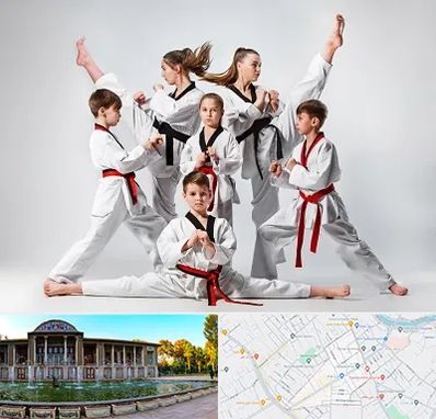 باشگاه کاراته در عفیف آباد شیراز