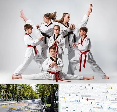 باشگاه کاراته در میرداماد 